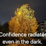 The Psychology of Confident Communication confidence